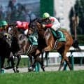 【JRA・WIN5】本日のWIN5は的中15077票、配当3万3820円