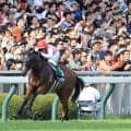 【アイビスＳＤ】３連単４６万円超を演出！１４番人気ロードトレイルが２着激走　大野拓弥騎手「格下馬ですが…」１番人気勝利も波乱の使者に　