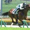 驚異の末脚で差し切った３歳馬に衝撃走る「鳥肌立った」「噂には聞いてた」　中京６Ｒで３勝目を挙げたトミーバローズ