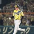 【阪神】「代役」二塁手・高寺望夢が守備でピンチ救う　二塁ベースに自ら駆け込む好判断