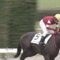 馬名は「リーチツモドライチ」…麻雀ルーツの珍名馬“一発アガリ”デビュー勝ちにネット沸騰「実況も解説も笑った」