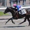 【札幌6R】河原田菜々が今年7勝目…セイントホースで鮮やか差し切りV