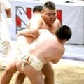 わんぱく相撲４年生の部で三島市の原桜汰が関脇に…１５２センチ、８９キロ「将来の目標は力士になることです」