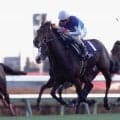 レース史上最大の9馬身差V アドマイヤドンが制した03年エルムSを振り返る