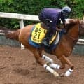 【ＣＢＣ賞・水納の特注馬】北九州記念５着のアブキールベイは軽視禁物　スムーズならチャンス十分