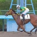 【ダリア賞・坂本の特注馬】芝替わり＆距離延長で挑むラピッドテソーロに妙味あり　陣営は前向きな挑戦を強調