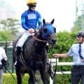【エルムＳ】マリーンＳ圧勝のウェイワードアクトはまだ上積みあり　舟山瑠泉騎手「息が前走より良くなっています」