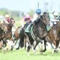 CBC賞勝ち時計ランキングTOP5 1位はアレスバローズの1分7秒0