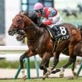【CBC賞想定騎手】レイピアは横山武史騎手、ディアナザールは川田将雅騎手