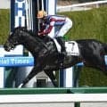【レパードS想定騎手】メルカントゥールは坂井瑠星騎手、ドンエレクトスは荻野極騎手