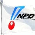 NPBが熊本地震支援　球宴オークション収益1000万円を含め義援金計2000万円を寄付　