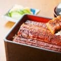 うなぎの驚くべき効果効能