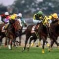 ハートレイク産駒唯一のJRA重賞勝ち馬 プレシャスカフェが制した04年CBC賞を回想