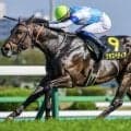 【CBC賞】小崎綾也騎手が8年ぶりJRA重賞制覇へ クラスペディアで一発狙う