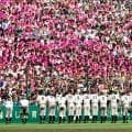 宮崎代表が甲子園で勝つには？　監督へのアンケートから見えた共通項