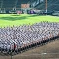 投打ともに全国屈指の横浜、その対抗馬は？　夏の甲子園大会を展望