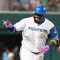 【日本ハム】レイエス、四球で連続試合出塁を14に伸ばす　試合前には敵将小久保監督とハグ