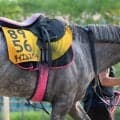 「本当に衝撃」「夢をありがとう」記憶にも記録にも名を残した「主役も張れる名脇役」の引退にネット惜別の声続出