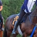 【レパードＳ】勢い最高潮！堅実派のマクリールが初タイトルへ挑む　陣営「ここを取れたら選択肢が広がる」
