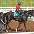 【今週のトク注新馬】良血２．６億円馬ドラゴンバルド５馬身突き放す猛調教