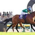 【注目馬動向】約１３億円ゲットのチャンス　カランダガンはジャパンＣ連覇が最大目標「東京以外で姿を見せる可能性は低い」
