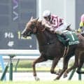【注目馬動向】小倉記念で重賞初制覇のゼンダンハヤブサは引き続き酒井学騎手で札幌記念へ　橋田調教師「いい調整ができている」