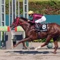 【注目馬動向】３連勝でオープン入りのヘニーガイストはグリーンチャンネルＣ→武蔵野Ｓ　エコロブルームは京成杯ＡＨで復帰