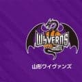 山形ワイヴァンズ、米国出身の25歳が新加入「今シーズンを特別なものにする準備は万端」