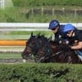 ショウヘイ、札幌記念1週前追い切り速報/栗東トレセンニュース