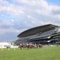 ザ・ジョッキークラブが2026年末で競馬場協会を脱退…アスコットと新組織設立へ