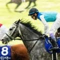 【札幌記念想定】アドマイヤテラ、グランディアなど15頭