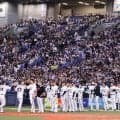 外国人観光客が急増中　京セラドームでナイター観戦が「夜の観光」の定番になる理由