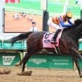 【注目馬動向】テーオーエルビスはコリアスプリント辞退→ＢＣスプリント直行　高柳大調教師「またひと回り大きくなった感じ」