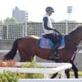 【エルムＳ】復活を目指す２冠馬ナチュラルライズは併せ馬で先着も…　横山武史騎手は慎重「きつい戦いになる」
