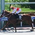 【レパードS】セレクト2億円のショウナンバンライ 史上最高額のJRAダート重賞勝ち馬になるか