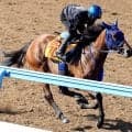 【中京記念・１週前】久々のマイル戦に挑むカネラフィーナは単走で好タイム　石川裕紀人騎手「いい感じじゃないかと」