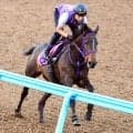 【ＣＢＣ賞】３歳牝馬のサンアントワーヌが余裕たっぷりの動き　鹿戸調教師は合格点「しまいまでしっかり走れていた」