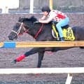 【中京記念・１週前】実績上位のラヴァンダは重賞２勝目へ　コースでしっかり　中村調教師「体調は問題ないです」