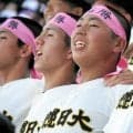 野球も料理もまごころ　次はミシュランの星を夢見る　札幌日大・新保