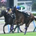 【CBC賞展望】夏の短距離戦は牝馬に注目、前走重賞組のジェニファーが中心