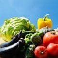 夏バテに効果的な食材