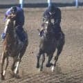 【ジャックルマロワ賞】春のマイル王シックスペンスが国内最終追い　田中博康調教師「躍動感があっていい動き」