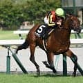 【CBC賞出走馬・騎手確定】ディアナザール＆川田将雅騎手、レイピア＆横山武史騎手など18頭