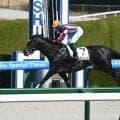 【レパードS出走馬・騎手確定】メルカントゥール＆坂井瑠星騎手、ショウナンバンライ＆田山旺佑騎手など12頭