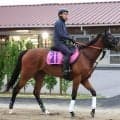 【注目馬動向】スイートピーＳ勝ち馬のカナルサンマルタンは８月９日の佐渡Ｓに出走予定も外傷のため回避