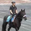 【札幌記念・１週前】マジックサンズは横山和生騎手騎乗でシャープな伸び　陣営「明らかに前回よりいい」
