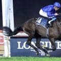 レベルスロマンスの全弟が衝撃の２１馬身差デビューＶ　ドイル騎手「きっと素晴らしいキャリアが待っている」