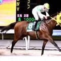 ３連単３８万円超　かわいすぎる珍名馬の激走に「何回予想しても買えんｗ」「どうやったら予想できる？？」船橋のメンコイボクチャン