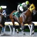 【船橋・習志野きらっとスプリント結果】11番人気メンコイボクチャンが鋭く差し切る