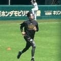 阪神・才木　７日・中日戦先発　夏恒例の長期ロードも「いつも通りやる」　首位争いは「あんまり考えなくていい」